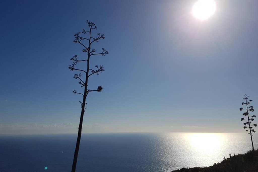 Suite Milu Cagliari Bagian luar foto