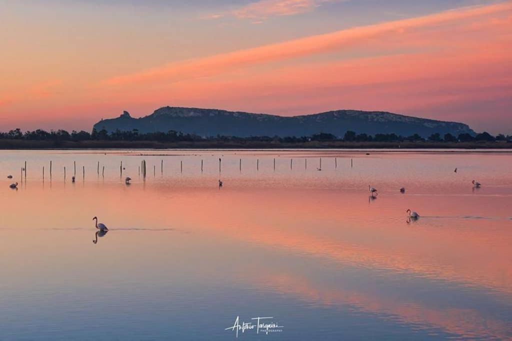Suite Milu Cagliari Bagian luar foto